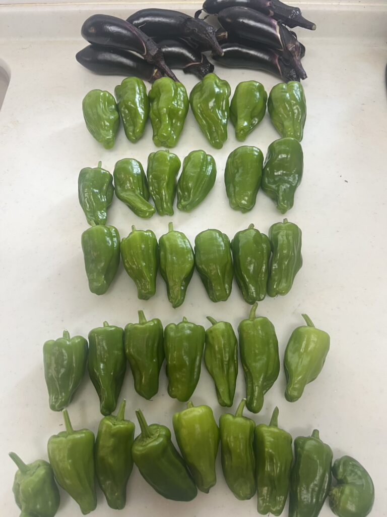 森下１